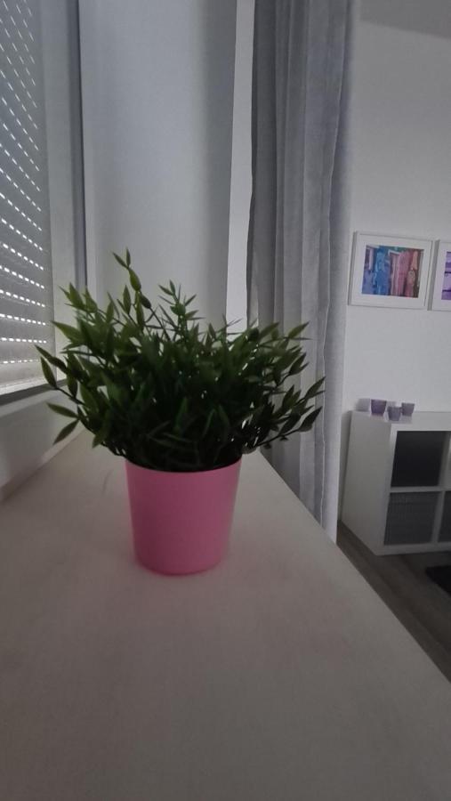 Appartement Lavendel, Ferienwohnung Mit Eigenem Eingang Wie Ein Kleines Haus Бад-Зальцуфлен Экстерьер фото